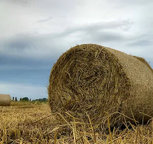 Agri-Tech and Innovation  Updates - igame
