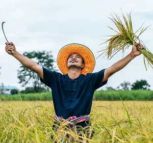 Agri-Tech and Innovation  Updates - igame