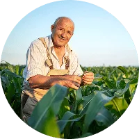 Revolutionizing the Way  Food is Grown - igame