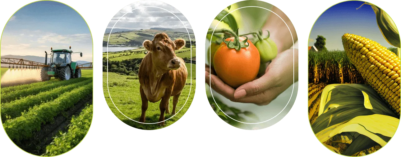 Growing a Better Tomorrow - igame