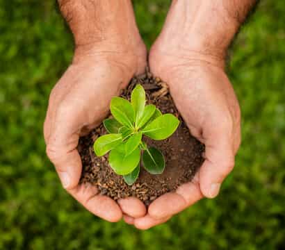 Our Legacy of Growth  & Trust - igame