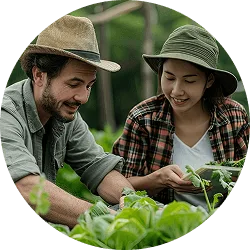 Revolutionizing  the Way Food - igame