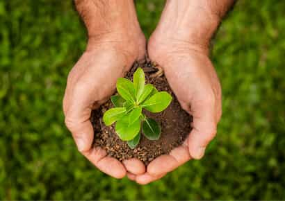 Organic Farming Solutions - igame