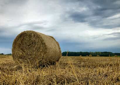 Organic Farming Solutions - igame
