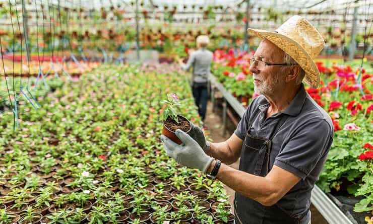Modern Agriculture - igame