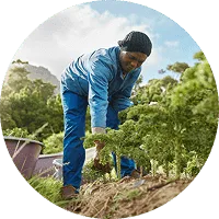 Organic Farming - igame